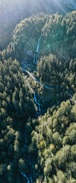 High angle view of trees on landscape