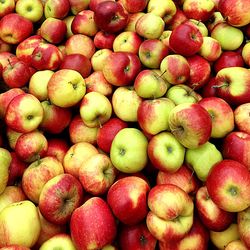 Full frame shot of fruits for sale