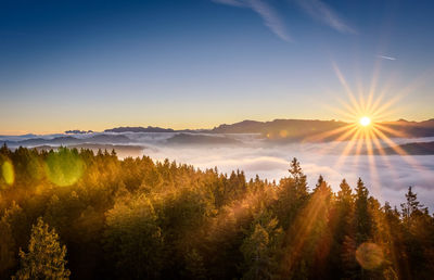 Scenic view of trees against sky during sunset