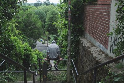 Rear view of man on tree