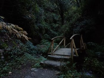 Old abandoned house in forest