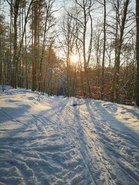 Bare trees on snow covered field against sky