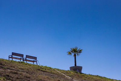 Low angle view of palm trees against clear blue sky