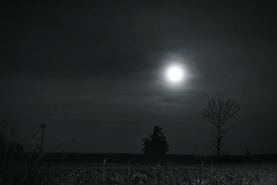 Silhouette trees on field against sky at night