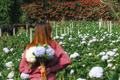 Rear view of woman standing by flowering plants