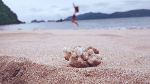 Close-up of stuffed toy on beach