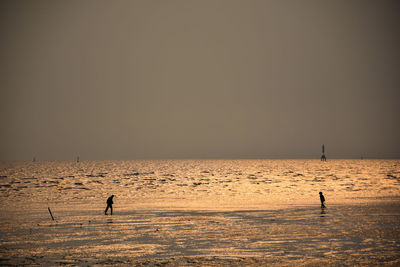 Silhouette people walking on shore against sea during sunset