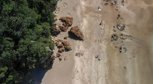 High angle view of rocks on beach