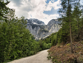 Scenic view of road amidst trees against sky