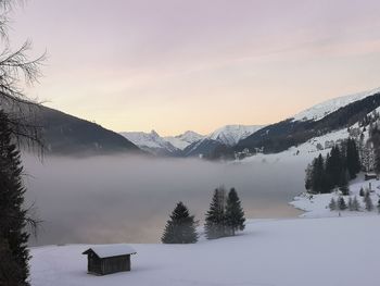 winter