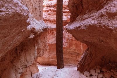 Close-up of rock formation