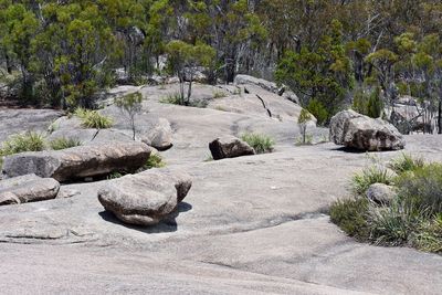 View of rocks on land