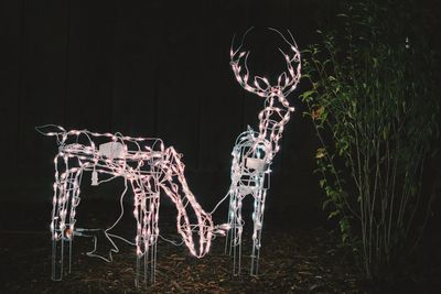 Illuminated chair at night