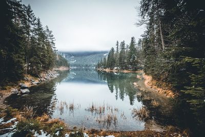 Scenic view of lake amidst trees against sky