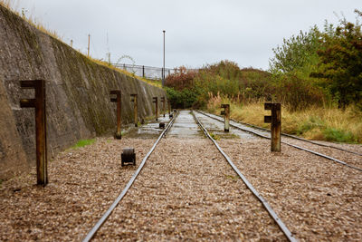 Railroad tracks amidst trees against sky