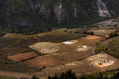 High angle view of trees on landscape