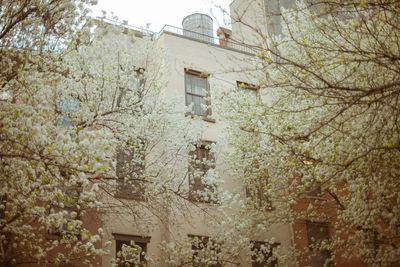 View of building with trees in background