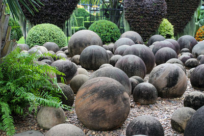 View of stones in garden