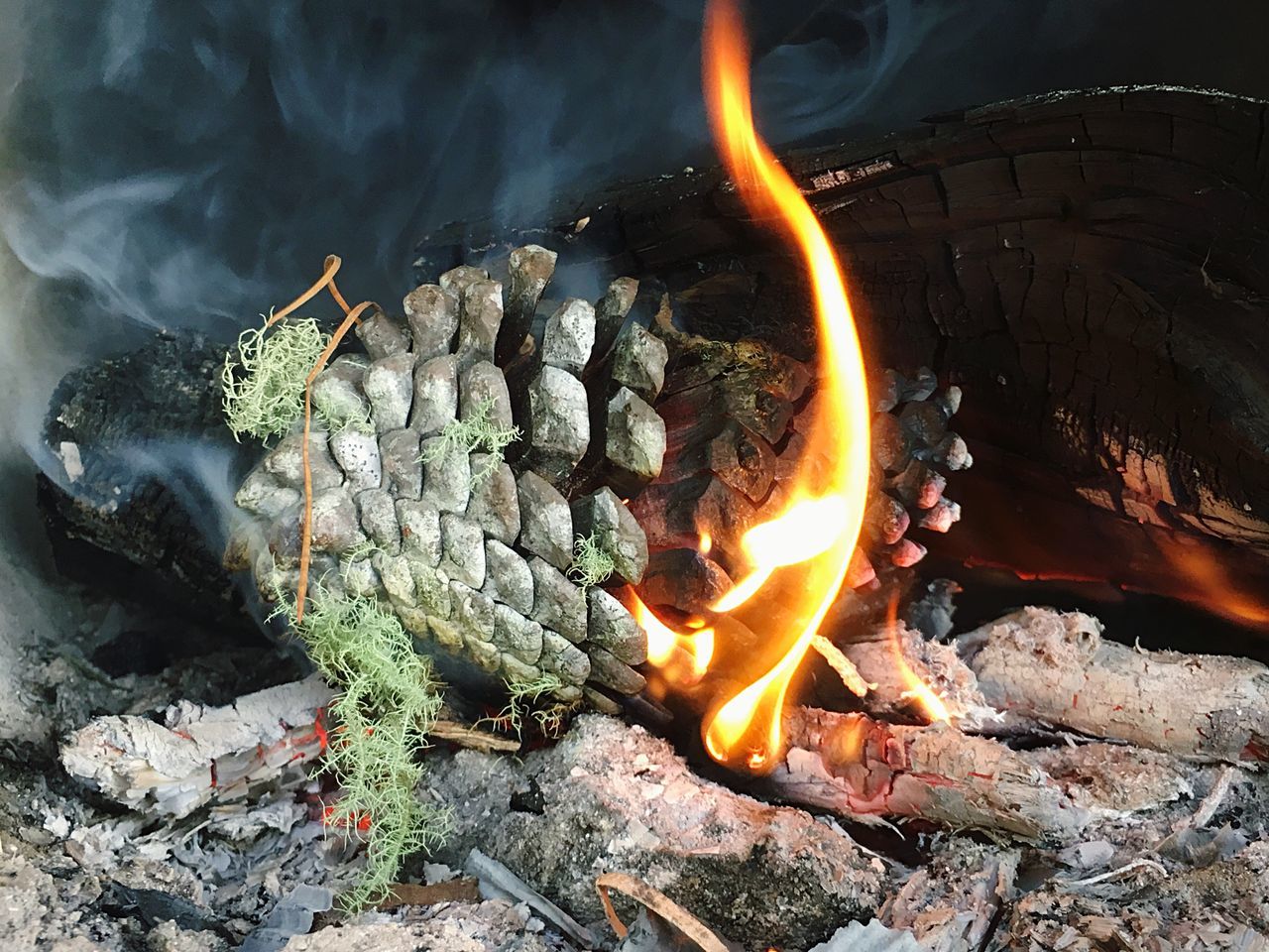 CLOSE-UP OF BURNING FIRE IN WOOD