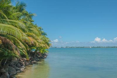 Scenic view of sea against blue sky