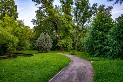 Footpath amidst plants and trees in park