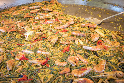 High angle view of fish in water