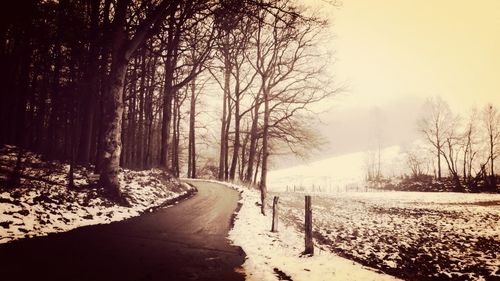 Empty road passing through forest