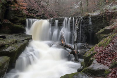 Scenic view of waterfall in forest