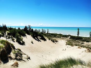 Scenic view of beach against clear blue sky