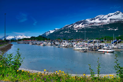 Valdez harbor