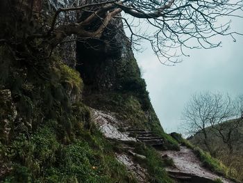 Bare trees on landscape against sky