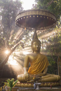 Statue of buddha against trees