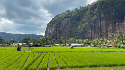 Scenic view of agricultural field against sky of harau valley