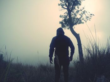 Woman standing on tree trunk