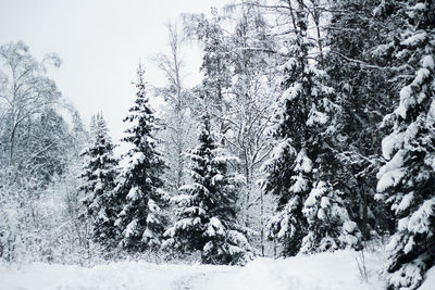 Scenic view of snow covered landscape