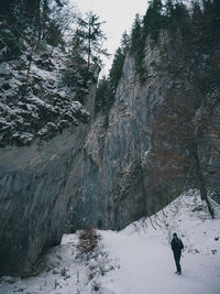 Rear view of person on snow covered land