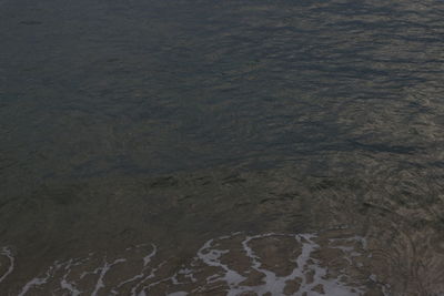 Close-up of black background