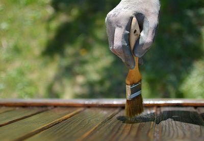 Close-up of bird perching on wood