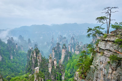Famous tourist attraction of china - zhangjiajie mountains, china