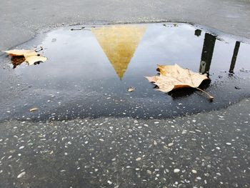 High angle view of reflection in puddle on road