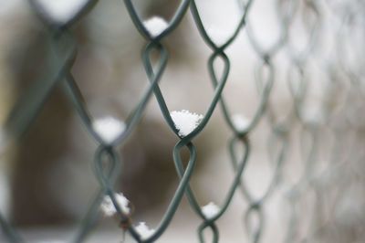 Close-up of chainlink fence