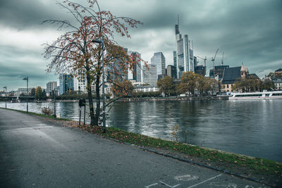 city