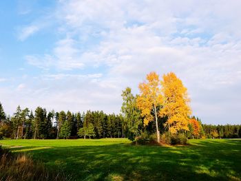 Trees on field against sky during autumn