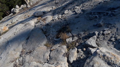 Close-up of rocks on shore