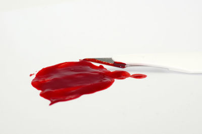 Close-up of red chili pepper against white background