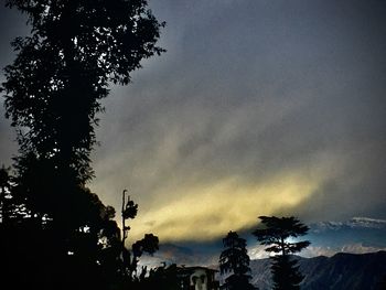 Low angle view of silhouette tree against sky at sunset