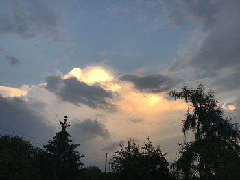 Low angle view of silhouette trees against sky during sunset