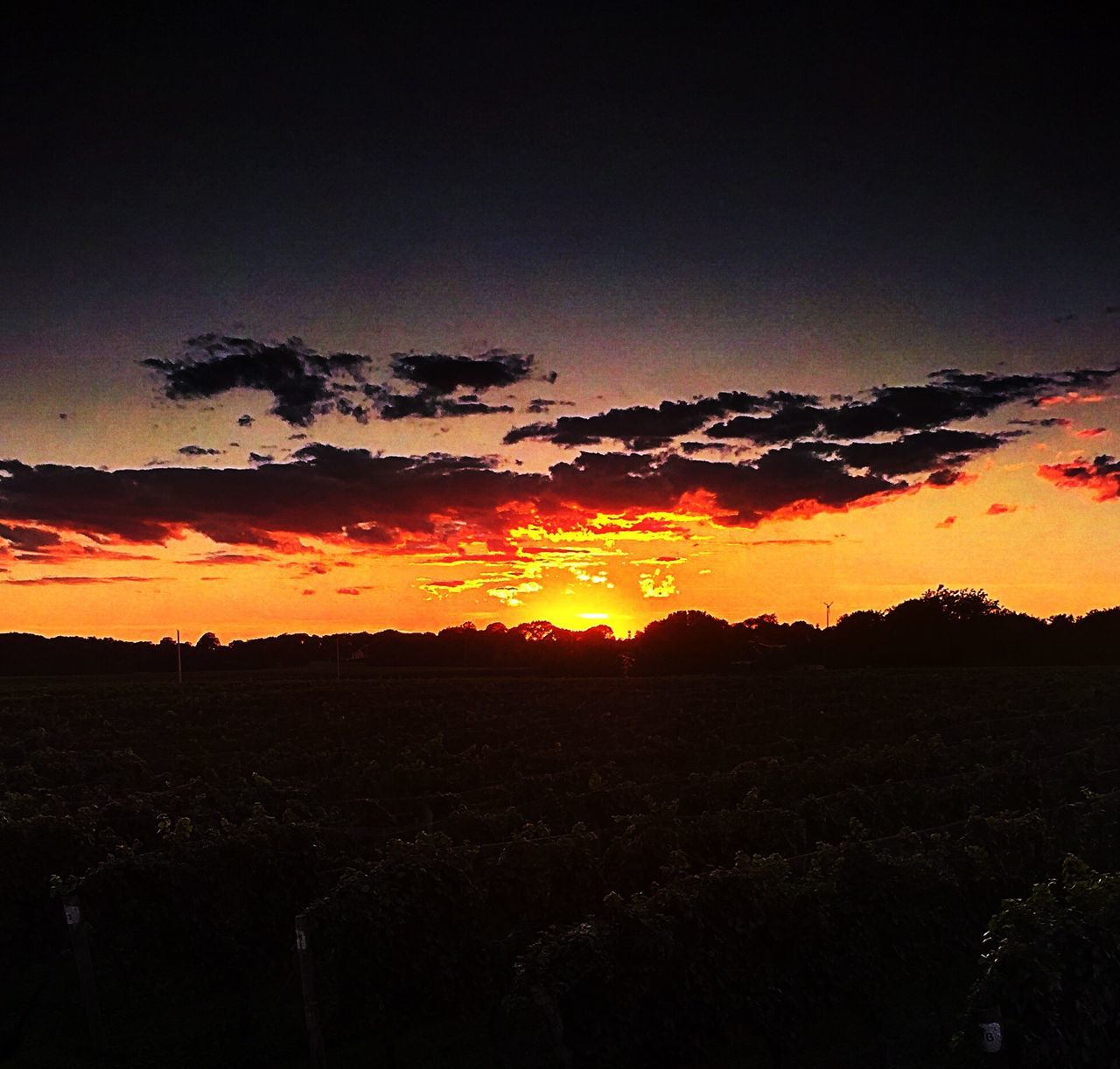 SILHOUETTE LANDSCAPE AT SUNSET