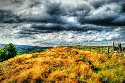 Scenic view of grassy field against cloudy sky