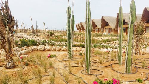Panoramic view of beach against sky